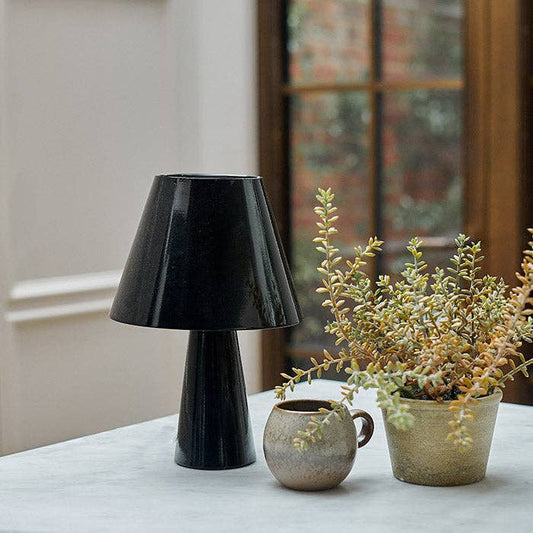 Ellard Metal Desk Lamp